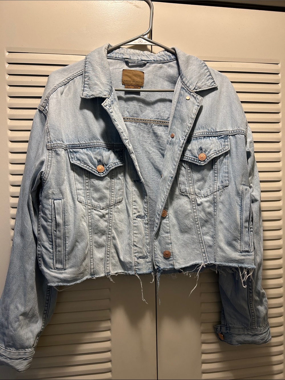 American Eagle Outfitters Light Blue Cropped Denim Jacket